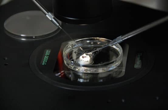 Slider image (3) Prof. Dr. Nilgun Turhan Fertility Clinic